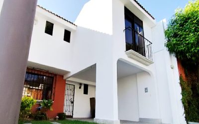 WhatsApp Image 2026-01-19 at 2.50.13 PM